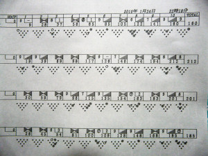 2010年1月24日大会
